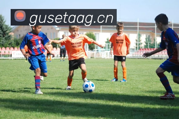 开云kaiyun官网最新活动发展历程